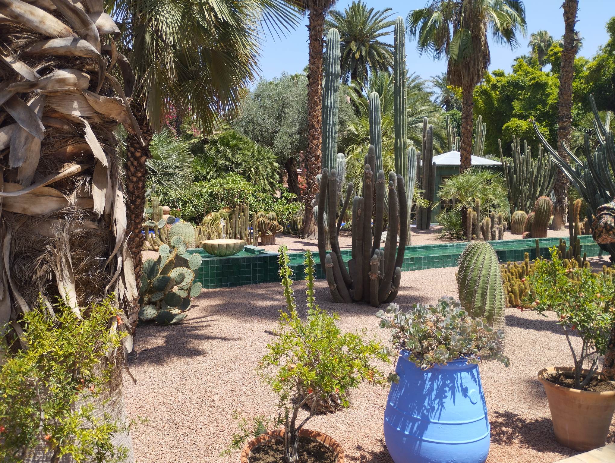 Jardin Majorelle, Marrakech