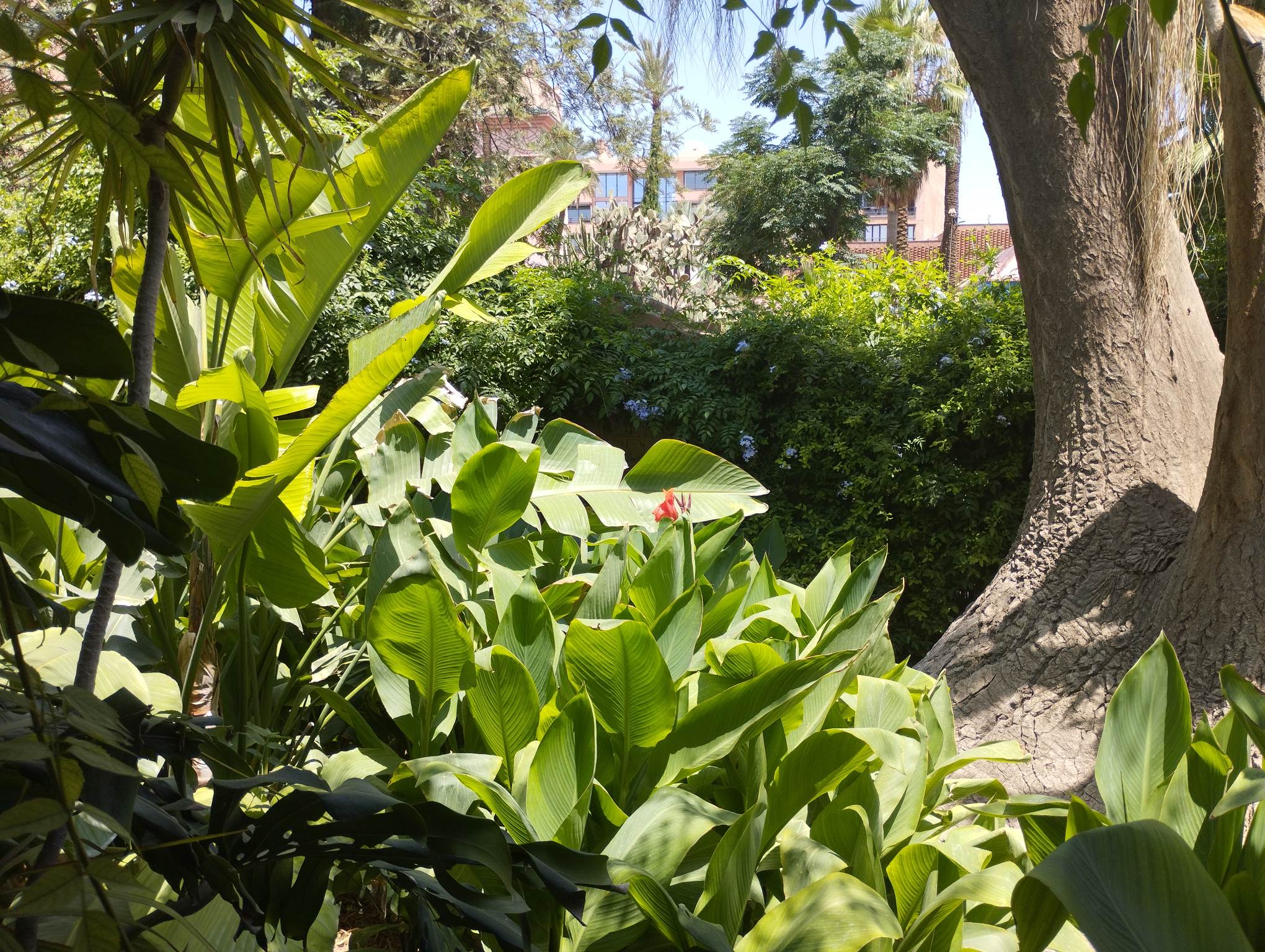 Is the Sahara Tour Worth It? An Honest Answer for First-Timers