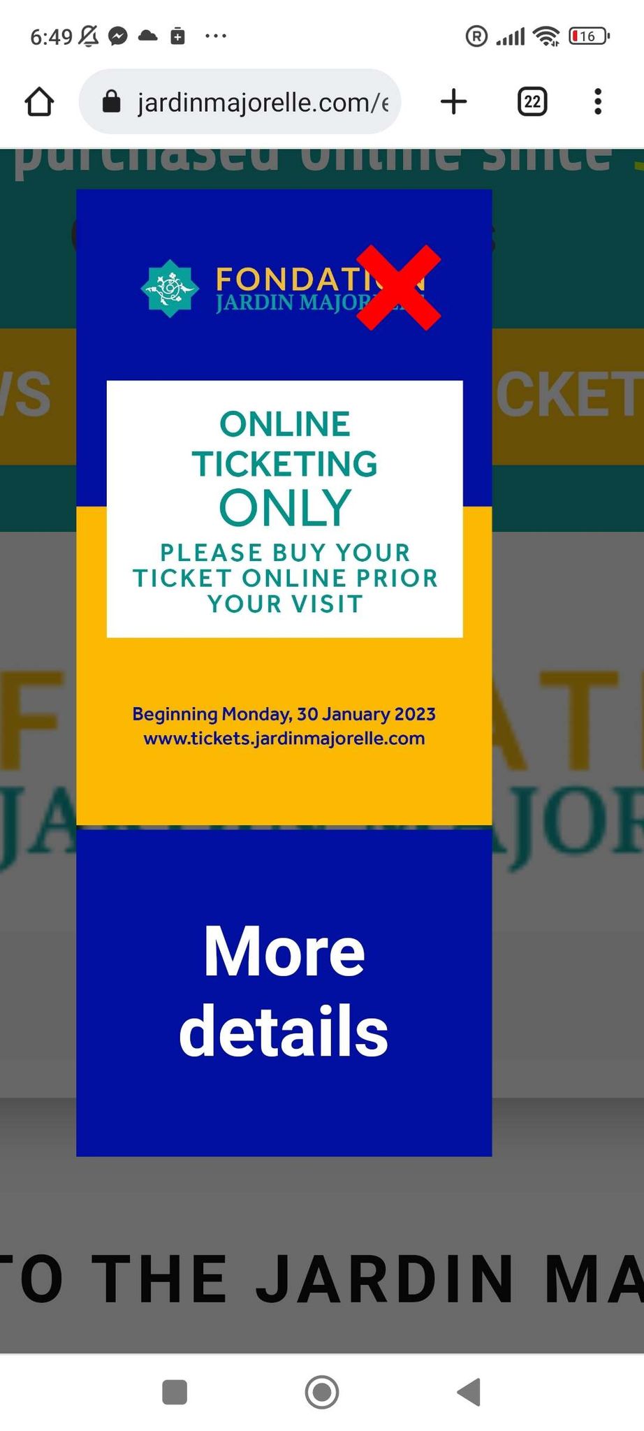 Morocco Language Guide: Basic Arabic and Darija Phrases You Need