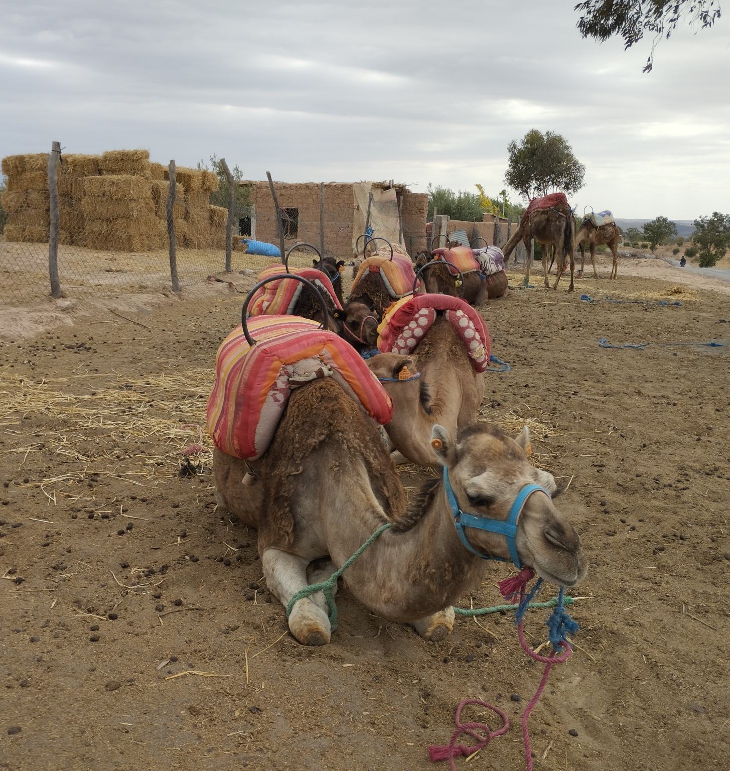 Morocco 14 Day Itinerary: The Complete Two-Week Morocco Trip