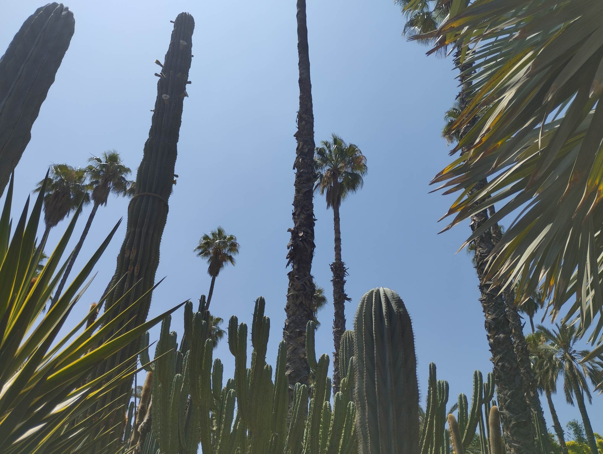 Sahara Desert Tour Red Flags: How to Spot a Bad Camp Before You Book